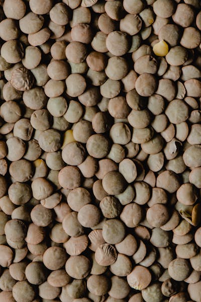 Urad Dal